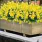 Outdoor Artificial Flowers(2 bundles）Free postage Delivered to your door