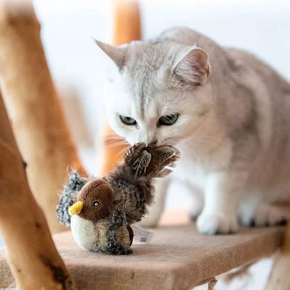 😺Gesimuleerde tjilpende vogel