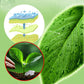 Plant Bloem Insectenwerende Tablet (50% KORTING)