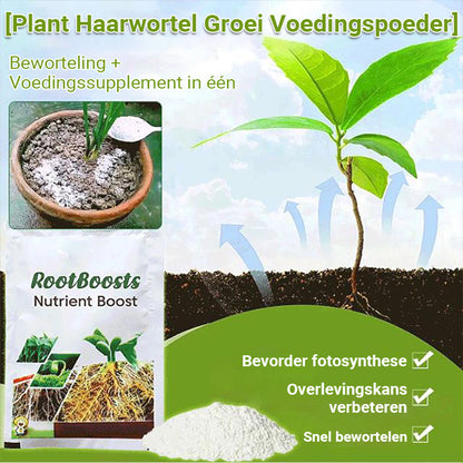 Plant Haarwortel Groei Voedingspoeder