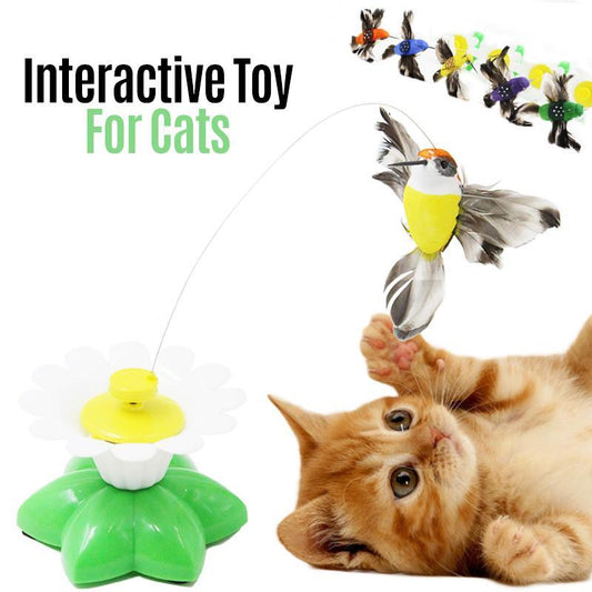 🐱Interactief vogelspeelgoed voor katten🦜